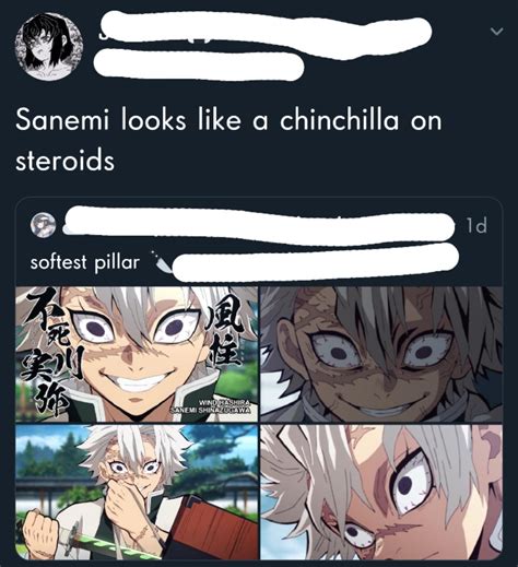 Demon Slayer Sanemi Memes