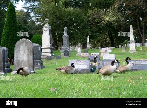 Greenwood Cemetery Brooklyn Tombstone Hi Res Stock Photography And