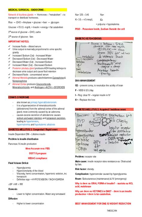 Medical Surgical Endocrine Medical Surgical Endocrine Network