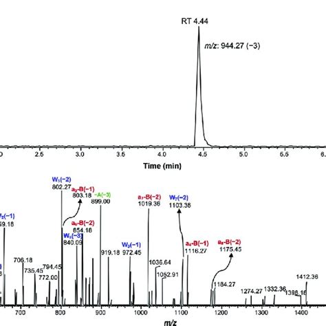 Extracted Ion Chromatogram And Cid Spectrum Of Mz 94427 −3 Rt 444