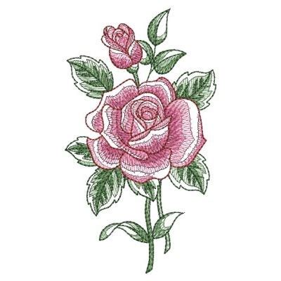 Sketched Rose Machine Embroidery Design Embroidery Library At