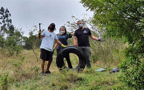 Mutirão De Limpeza Retira Mais De 270 Kg De Lixo De Rios Do Paraná