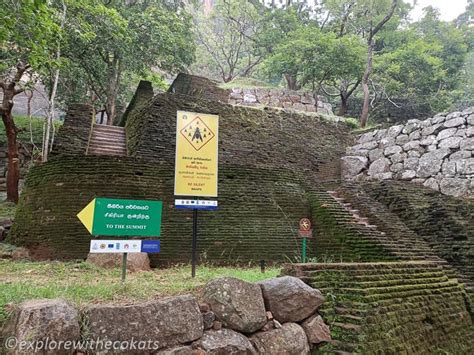 Things To Do In Sigiriya An Ultimate Guide Explore With Ecokats