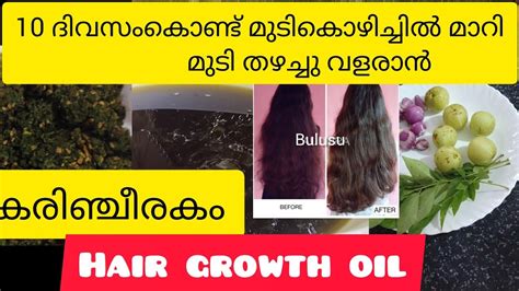 മുടി നന്നായി തഴച്ചു വളരാനും മുടികൊഴിച്ചിലും മാറാനും വീട്ടിൽ തന്നെ തയ്യാറാക്കാൻ പറ്റിയ എണ്ണ ️