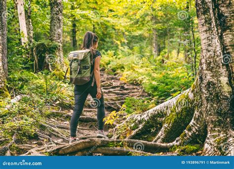 Forest Hike Trail Hiker Woman Walking In Autumn Fall Nature Background