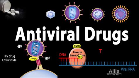 Antiviral Drugs Mechanisms of Action, Animation - YouTube