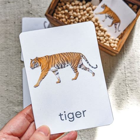 fun printable matching games  kids  moon