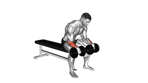 Dumbbell Reverse Wrist Curl