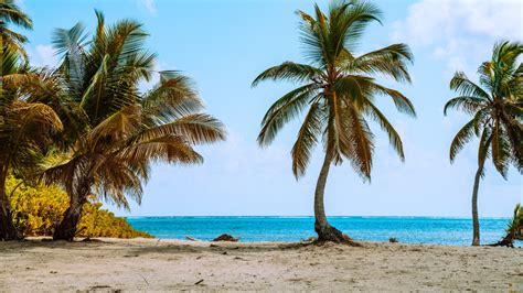 Podría Cayo Ambergris ser La Isla Bonita de Madonna