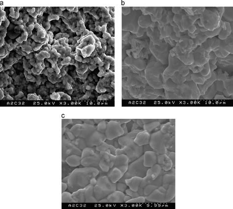 Sem Micrograph Illustrating Typical Microstructure For A La B Ba Download Scientific