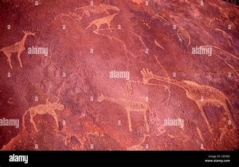 Rock art in Damaraland, Namibia Stock Photo - Alamy