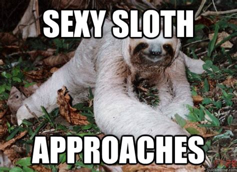 Funny Sexual Sloth Meme