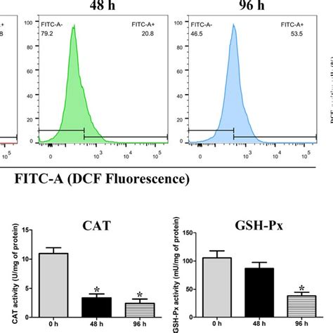 Assessment Of Intracellular ROS Levels A And The Activities Of