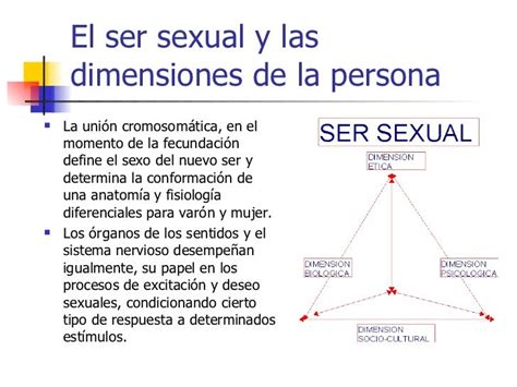 Dimensiones De La Persona Humana