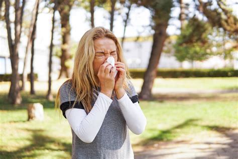 Tout savoir sur l allergie saisonnière