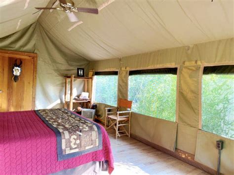 Safari West Review Luxury Tent • A Passion And A Passport