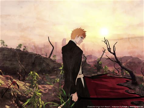 Ichigo - Bleach Anime Wallpaper (6903276) - Fanpop