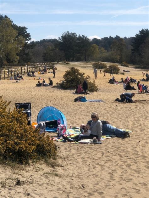 Frensham Great Pond Beach - Red Kite Days