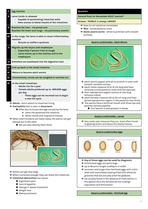 SOLUTION MT110 CLINICAL PARASITOLOGY Intestinal Nematodes COMPLETE