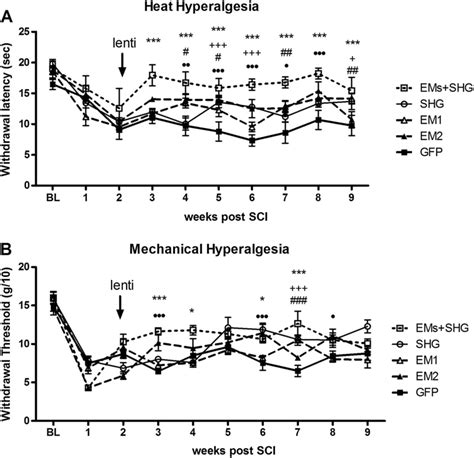 Thermal And Mechanical Hyperalgesia After Lentiviral Injection In Sci