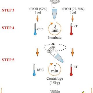 PDF Selective Precipitation Of RNA With Linear Polyacrylamide