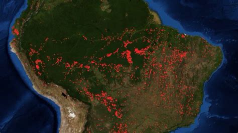 Amazon Rainforest Torched by Record Number of Wildfires | The Weather ...