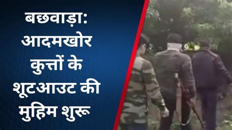 बेगूसराय आदमखोर कुत्तों के शूटआउट की मुहिम शुरू ग्रामीणों ने ली राहत की सांस Video Dailymotion