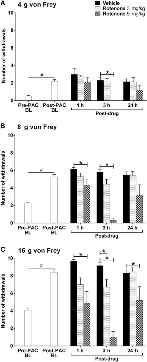 Effect Of Complex I Inhibition On Established Paclitaxel Induced