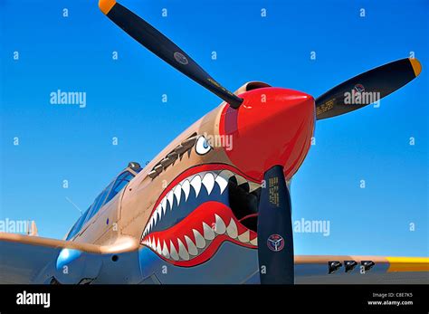 P40 Warhawk Art