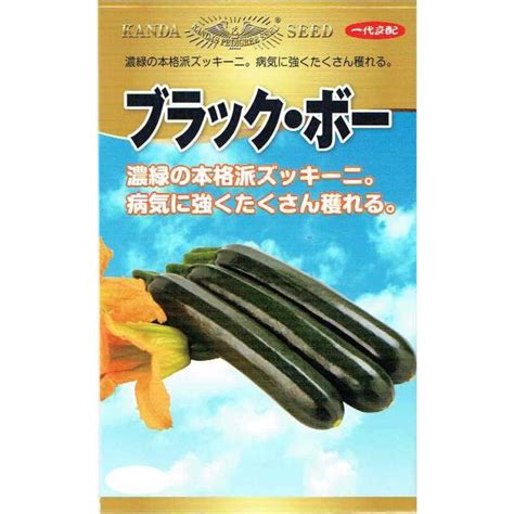 【楽天市場】【ブラック・ボー】 ブラックボー ズッキーニ ズッキーニの種 神田育種：さとうのタネ 楽天市場店