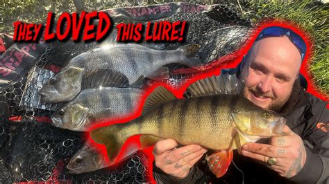 River Perch Lure Fishing Madness Plus Bonus Lrf Content Youtube