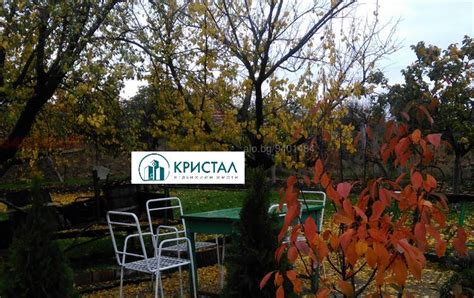 Едноетажна къща Едноетажна къща 52 кв.м РЗП 800 кв.м двор | Къщи, Вили ...