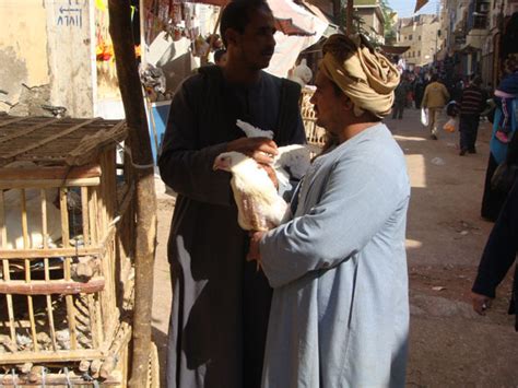 Luxor Souk - My Luxor by Bernard M. Adams