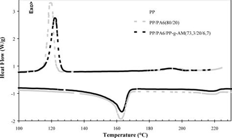 DSC Curves Of PP PP PA6 And PP PA PPgMA Blend At The Composition 20 Wt