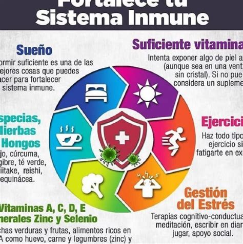 Fortalece Tu Sistema Inmunitario Descubre Los Mejores Consejos