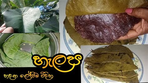 හැලප හදන ලේසිම විදිහhow To Make Kurakkan Halapa 🤗😊 Youtube