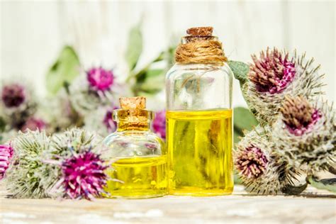 Olio di bardana proprietà usi impacchi per capelli