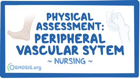 Assessment Of Peripheral Vascular System - PELAJARAN