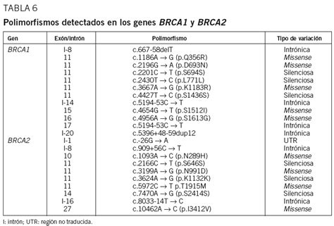 Mutaciones De BRCA1 Y BRCA2 En Familias Estudiadas En El Programa De