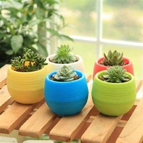 Mini Pot Bunga Hias Kaktus Tanaman - 5 PCS - Multi-Color ...