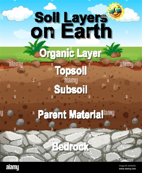 Poster design for soil layers on earth Stock Vector Image & Art - Alamy