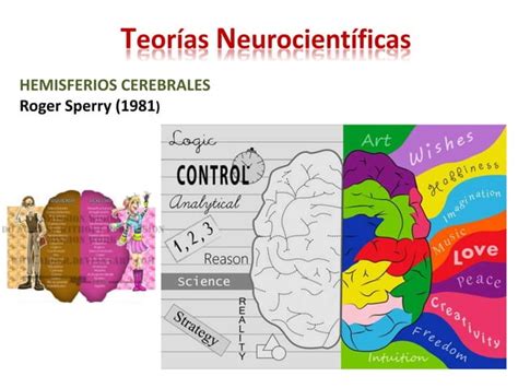 La Neurociencia Y La EducaciÓn Ppt