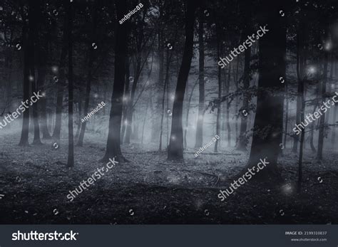 Dark Woods Night Magical Forest Landscape Stock Photo 2199310837 ...