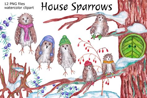 Watercolor House Sparrows Clipart Graphic By Colorful Mist Creative