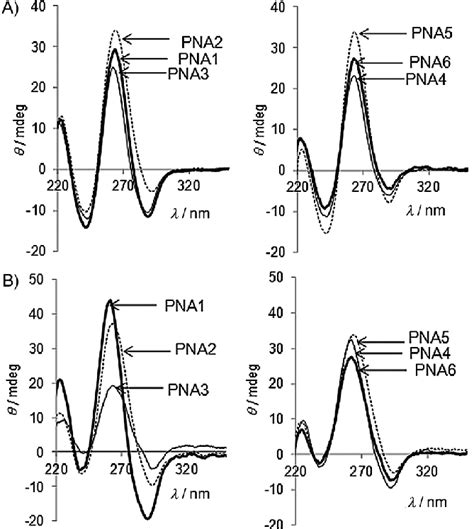 Cd Spectra Of A Pna Dna And B Pna Rna Duplexes With Unmodified And