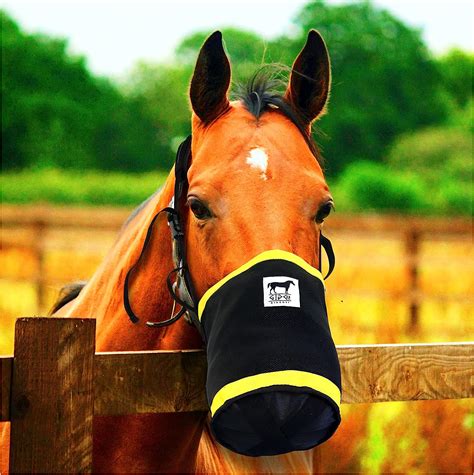 36 Best Horse Feed Bags In 2023 – The In-Detail Reviews – Www.deerfarms.com