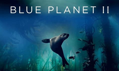 When Will Blue Planet 2 Be On Netflix