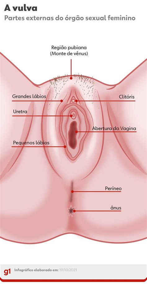 Vulva E Vagina Entenda A Diferen A E A Import Ncia De Cada Parte