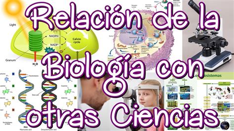 Cómo Se Relaciona La Biología Con La Química Física Geografía