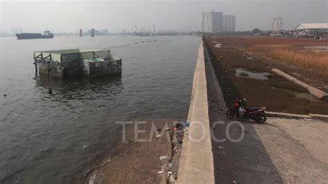 Kondisi Tanggul Laut Raksasa Jakarta Di Kawasan Muara Baru Foto Tempo Co